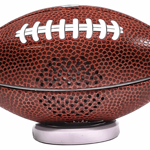 BOCINA INALAMBRICA NIMA NFL