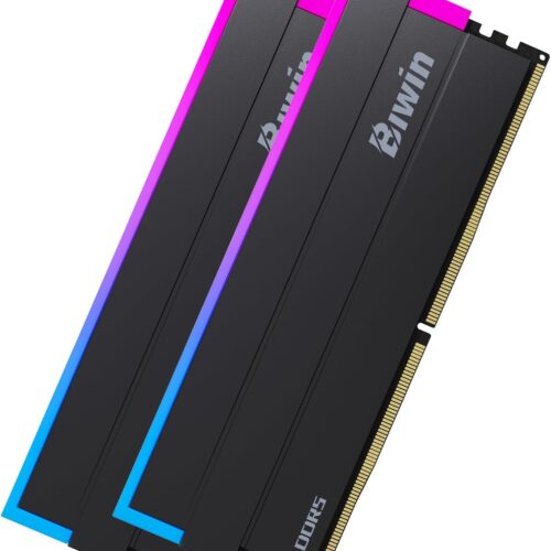 MEMORIA DIMM DDR5 BIWIN BXL54860DW1-D28FW DW100 RGB 48GB